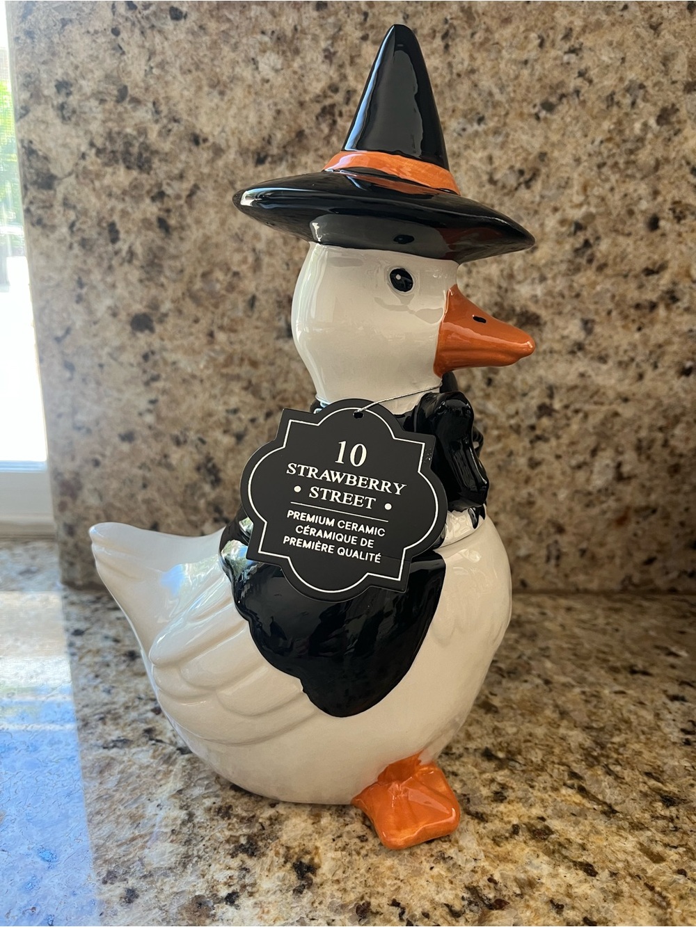 Strawberry Street Thanksgiving Pilgrim Ceramic Goose Duck Cookie Jar Halloween